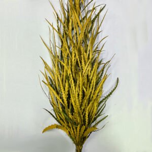 Grevilea gialla